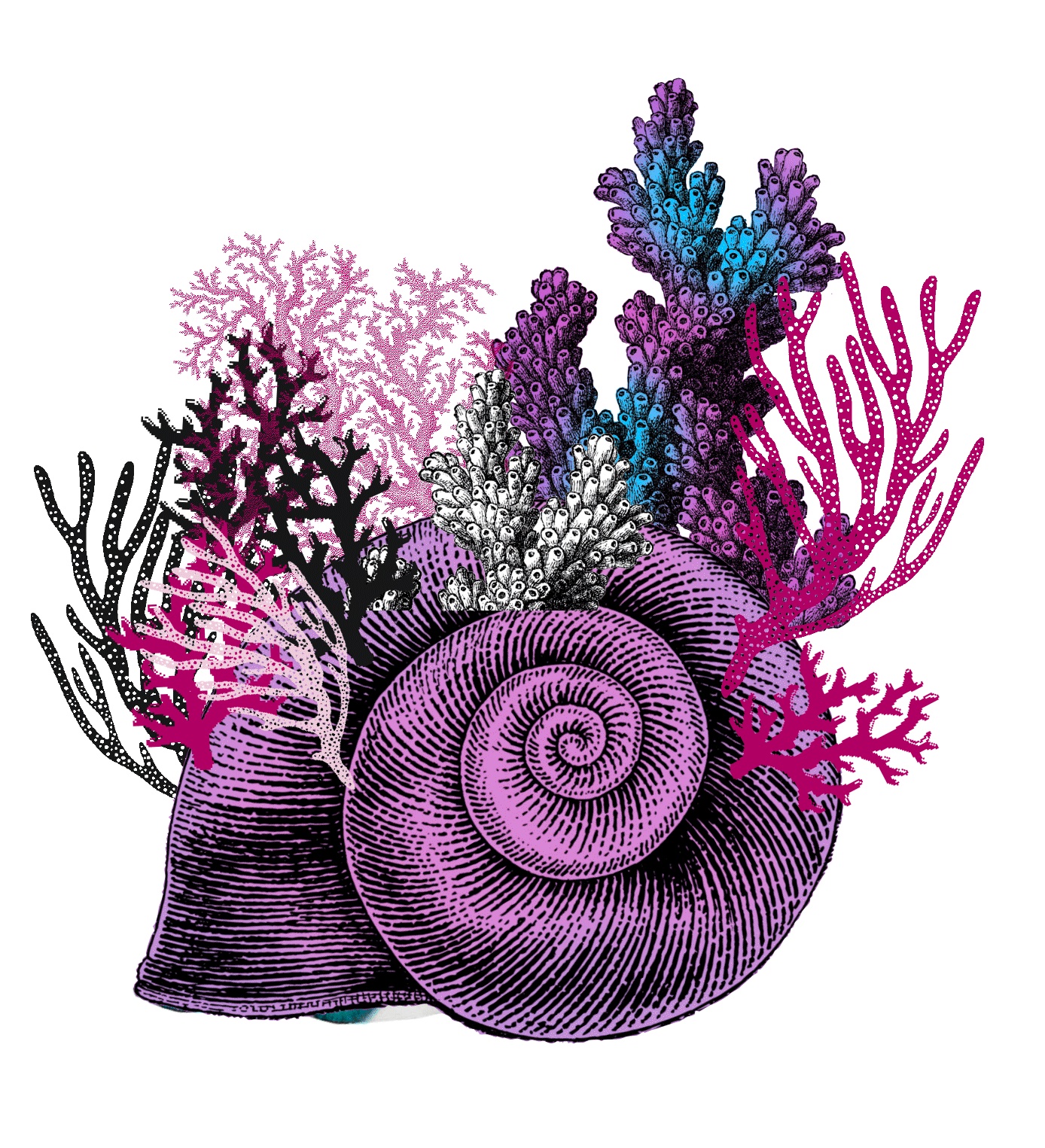 temps-fort2 ESCARGOT ALEX.jpg