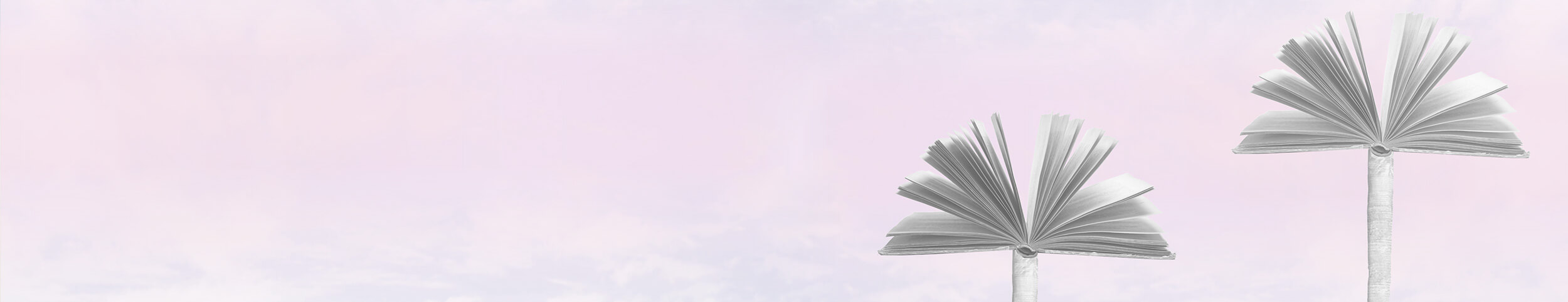 background-activites_.jpg