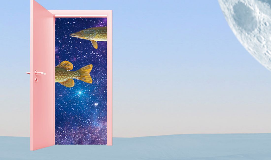 Tenter de mettre des mots sur l’implicite incohérence