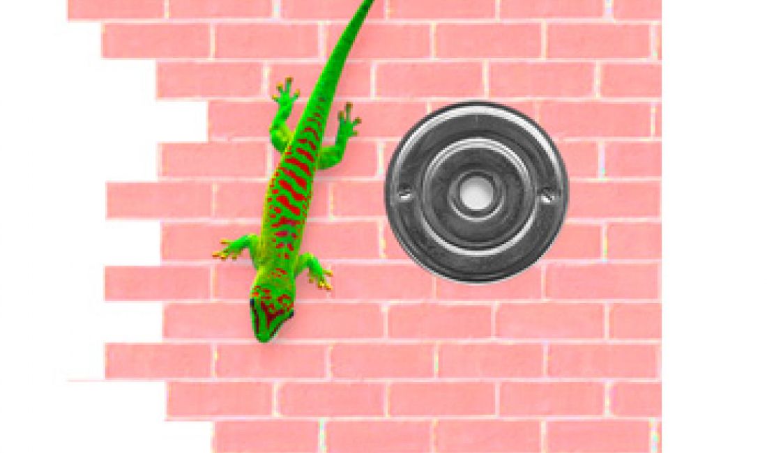 Assemblée générale 2020 de l’association