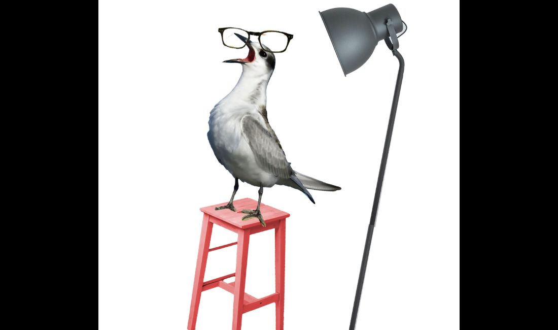 Scène Ouverte: offre ton texte! Chapitre 9