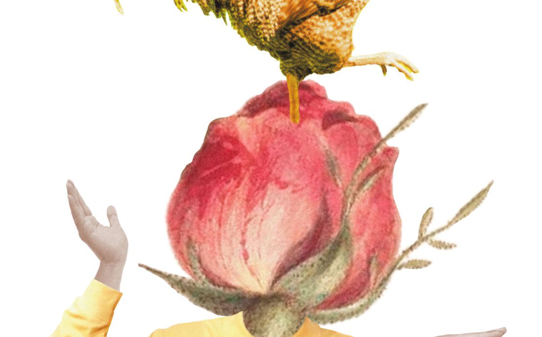 image_MR_desobeiR.jpg